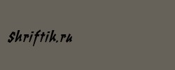 ChunkyMonkey BlackItalic 